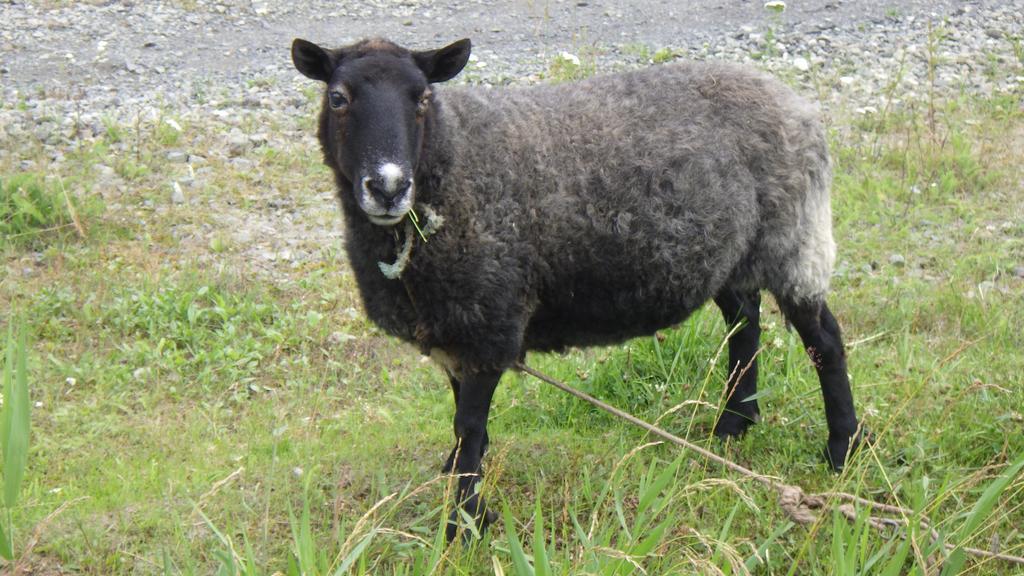 Kiritappuri Pensjonat Hokkaido Zewnętrze zdjęcie