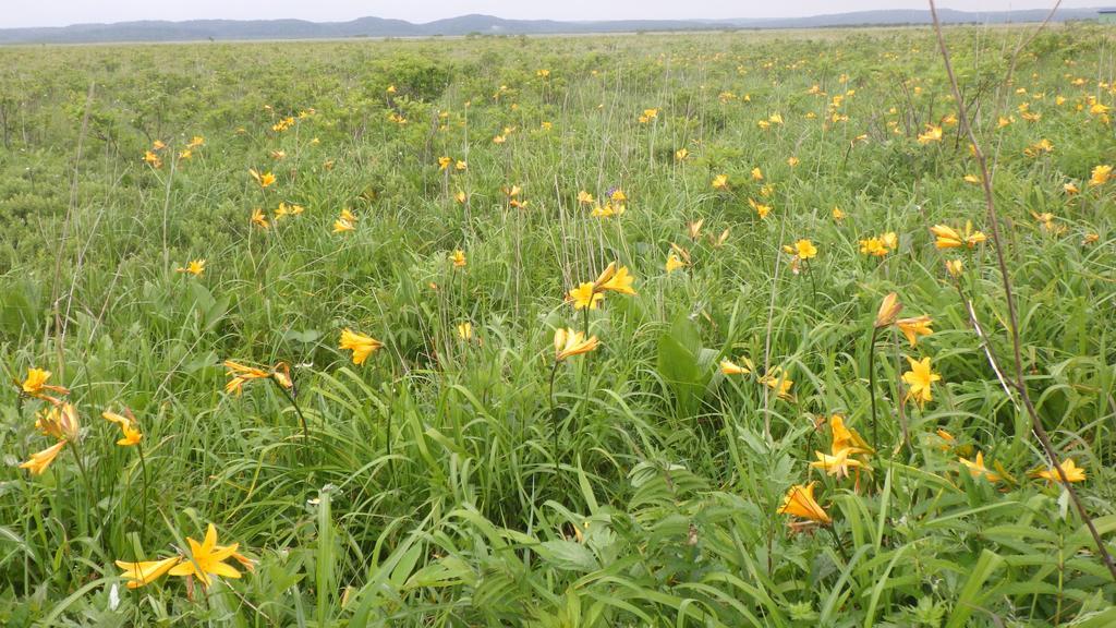 Kiritappuri Pensjonat Hokkaido Zewnętrze zdjęcie